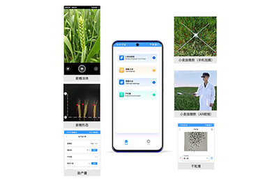 怀柔区小麦亩穗数分析仪IN-XM02